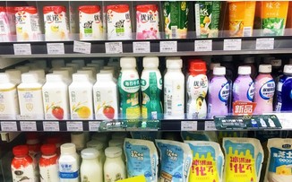dairy